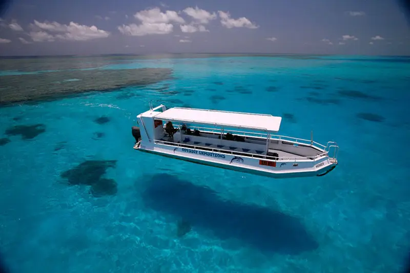 Odyssey Dive