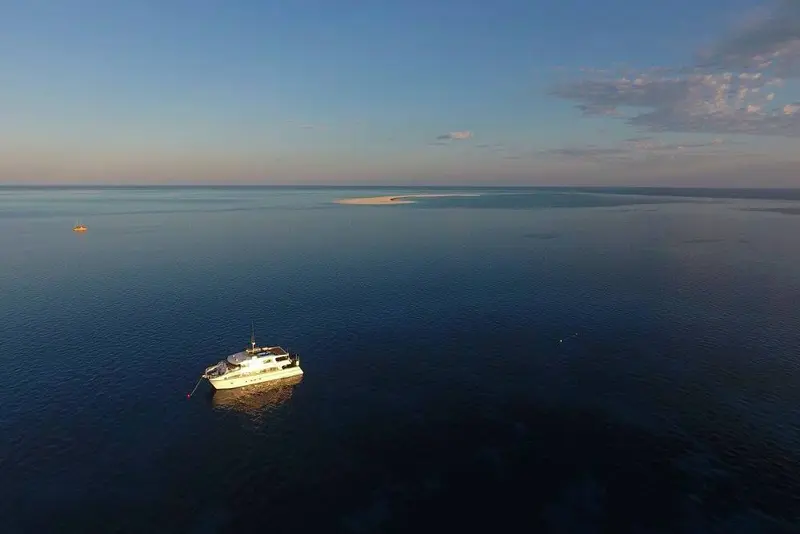 Odyssey Dive