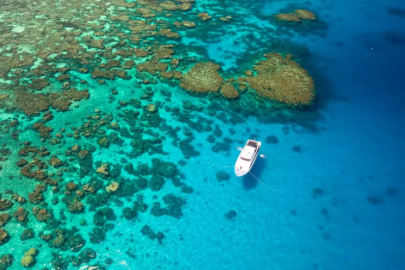 Pro Dive Cairns