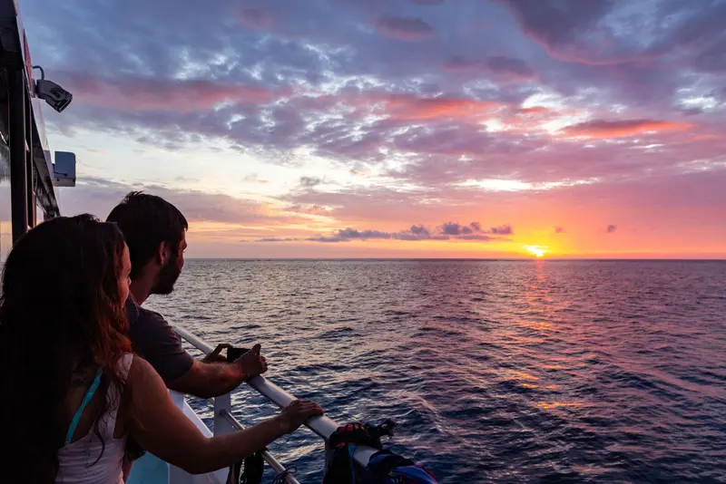 Pro Dive Cairns