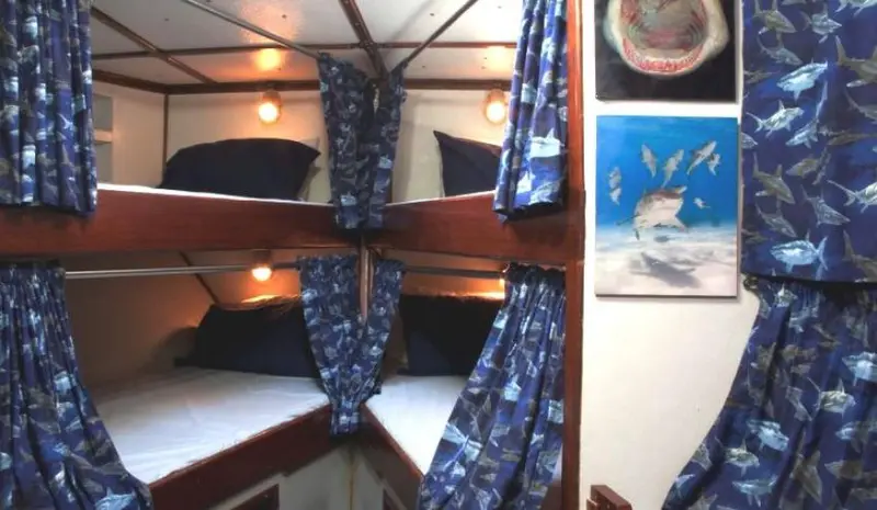 Cabina ospiti