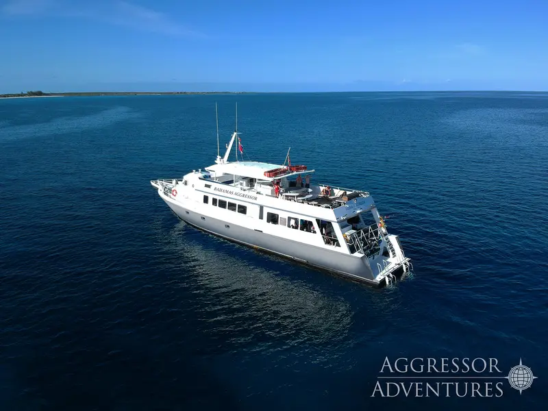 Belize Aggressor V (Bahamas Aggressor)
