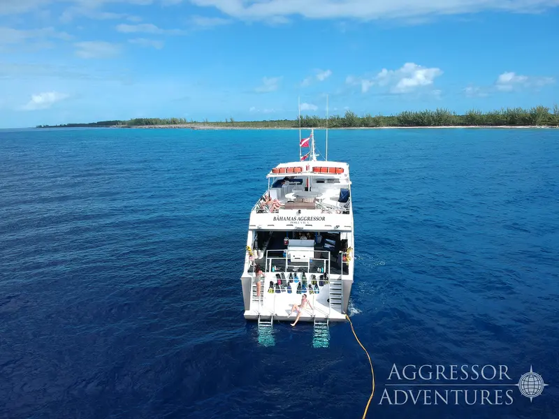 Belize Aggressor V (Bahamas Aggressor)