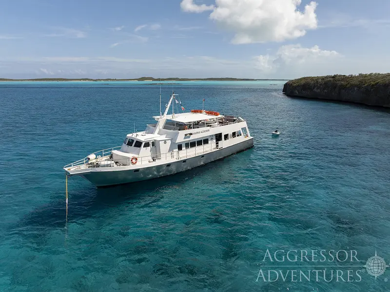 Belize Aggressor V (Bahamas Aggressor)