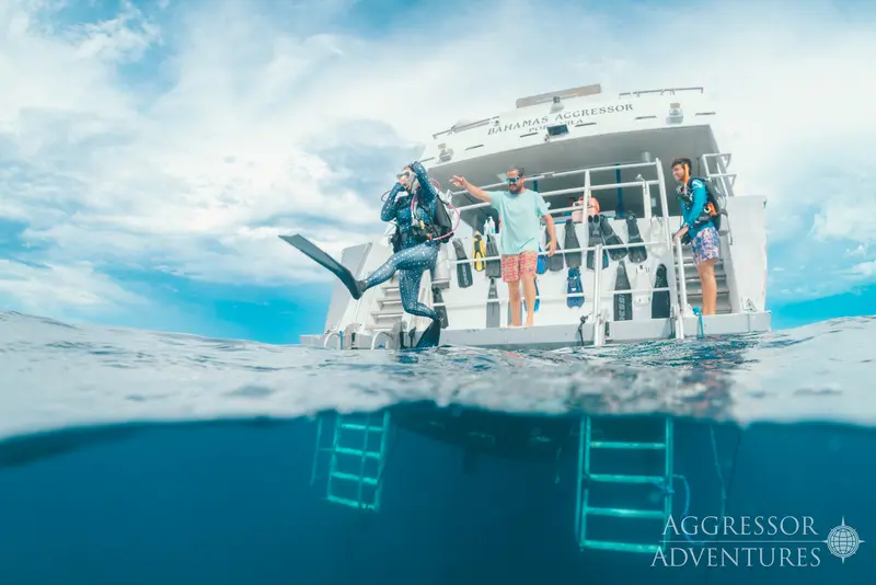 Belize Aggressor V (Bahamas Aggressor)
