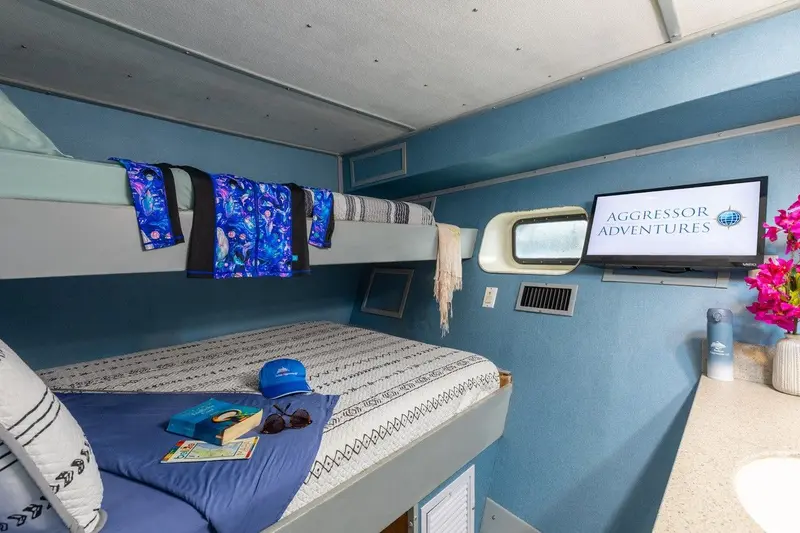 Cabine de luxe