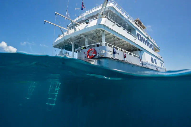 Belize Aggressor IV