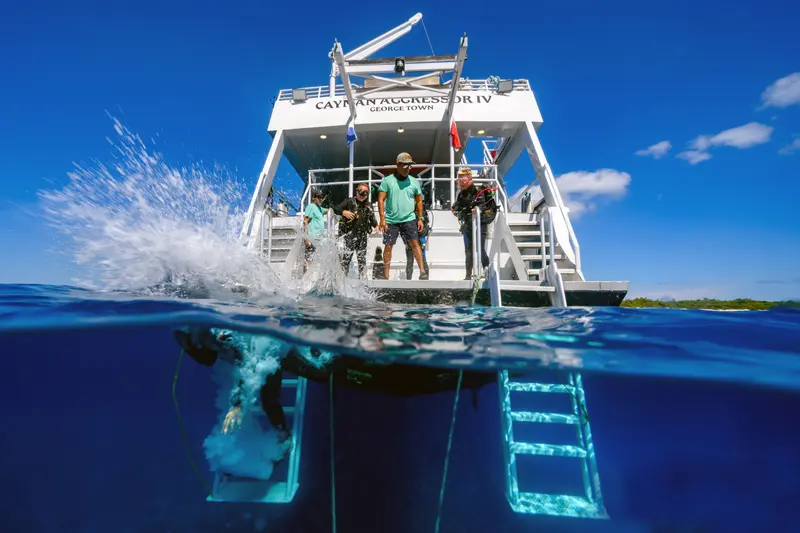 Cayman Aggressor IV
