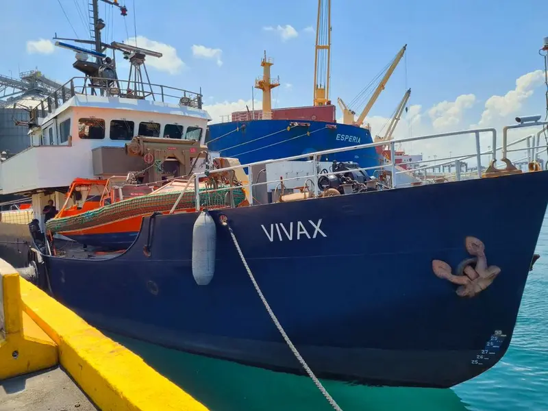 Vivax