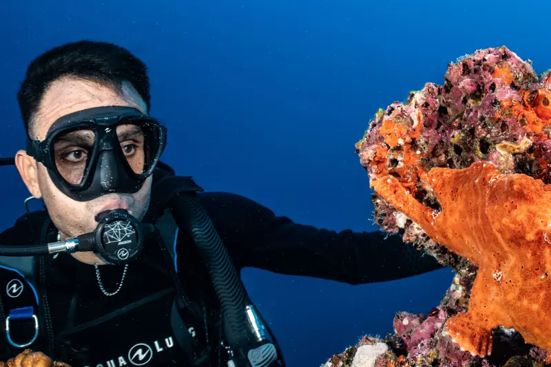 Cocos Island Aggressor