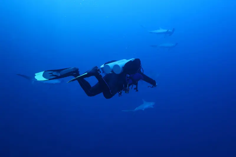All Star Scuba Scene