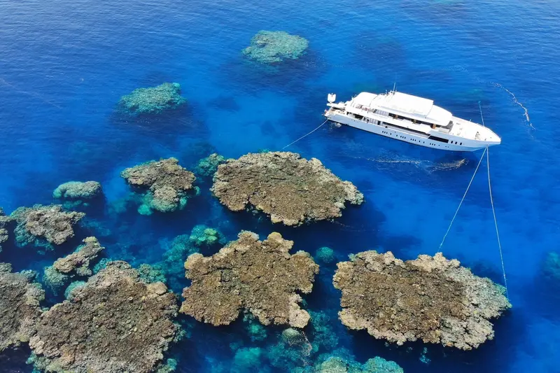 Blue Seas