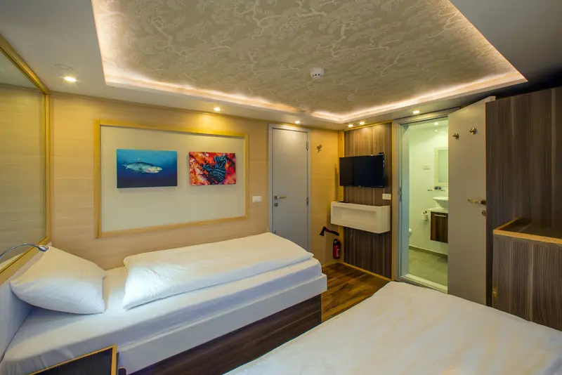 Twin Lower Deck