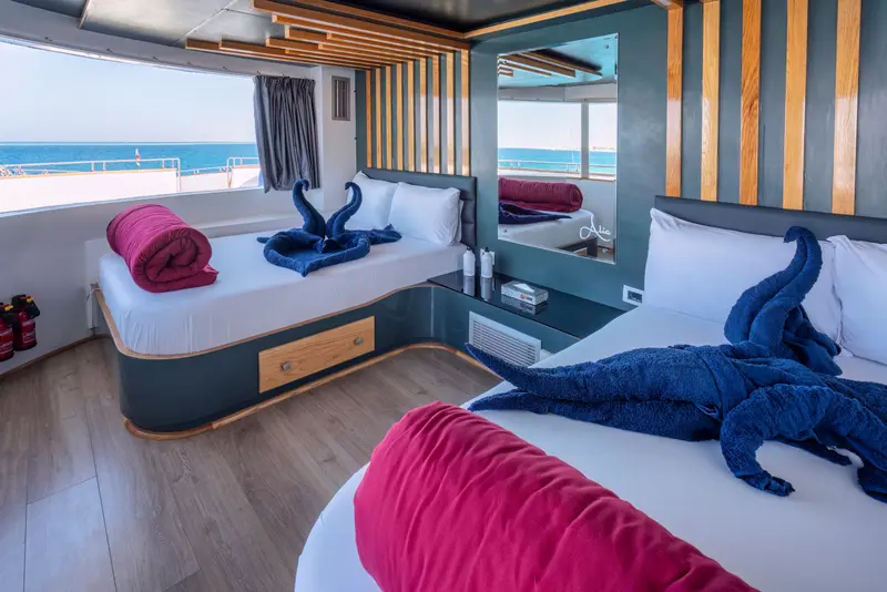 Deluxe Cabin