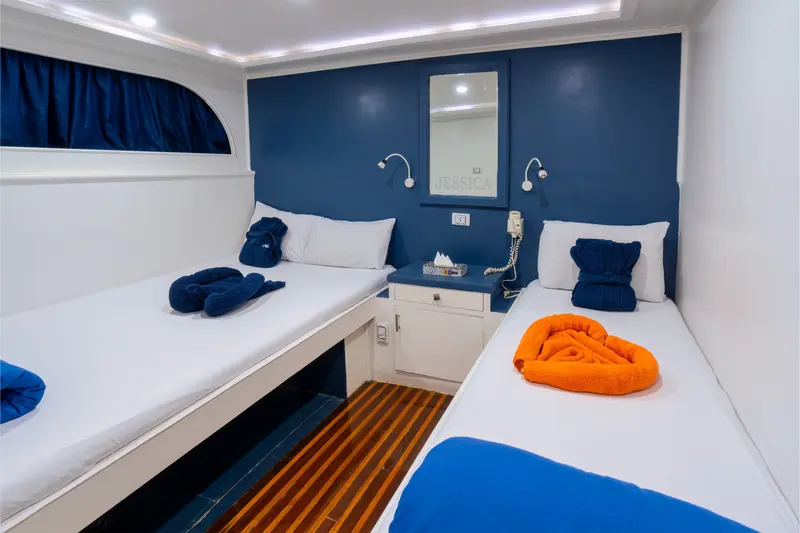 Deluxe Twin Cabin - Upper Deck
