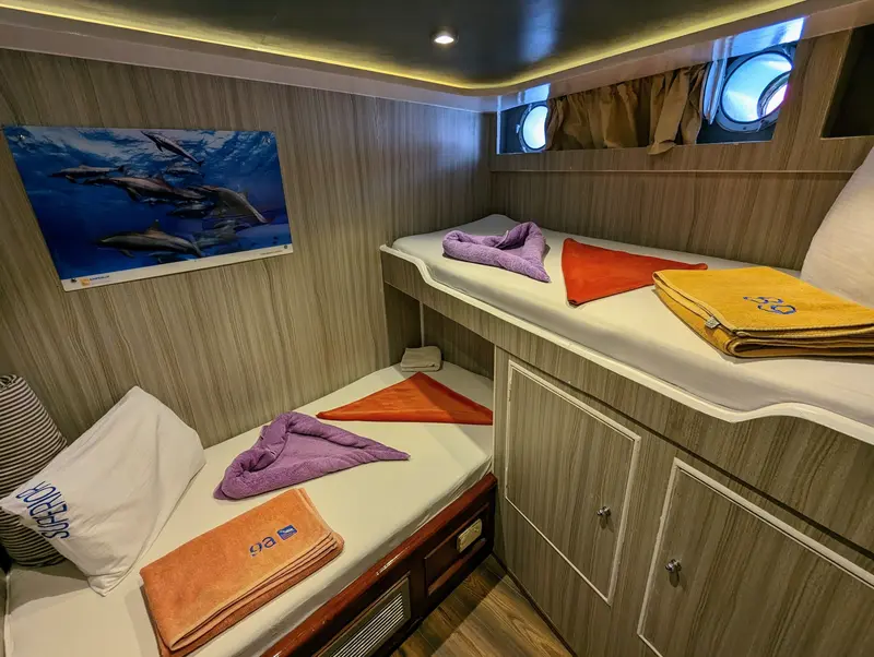 Cabine con letti a castello, ponte inferiore