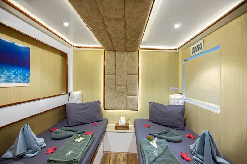 Cabina twin, ponte principale