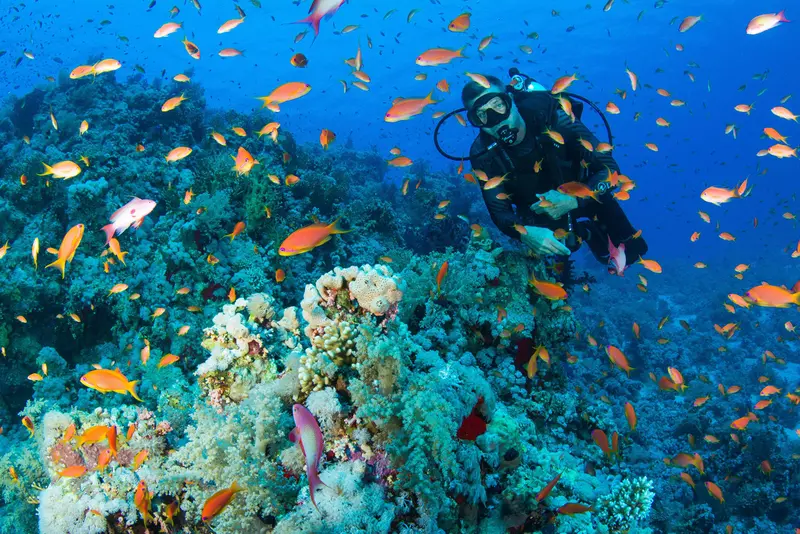 Red Sea Aggressor II