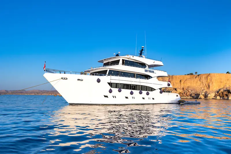 Reef Voyager