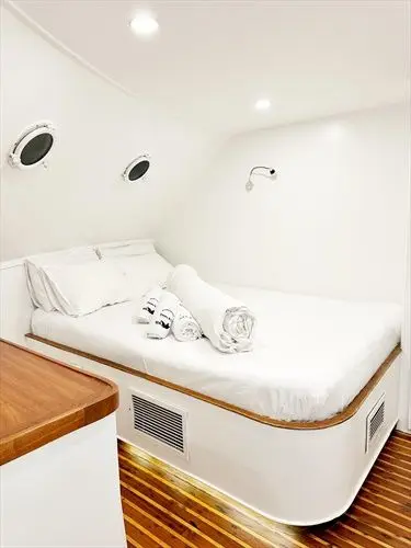 Double Cabin - Main Deck
