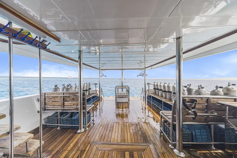 SS Serena Dreams