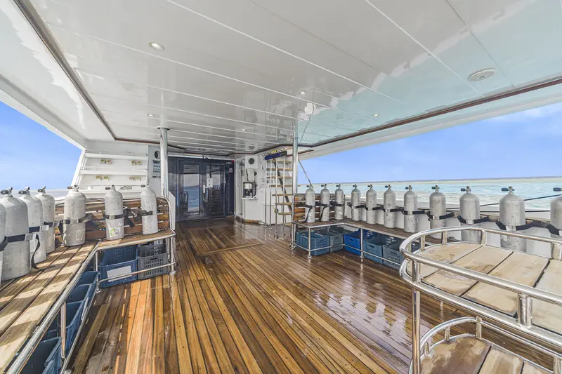 SS Serena Dreams