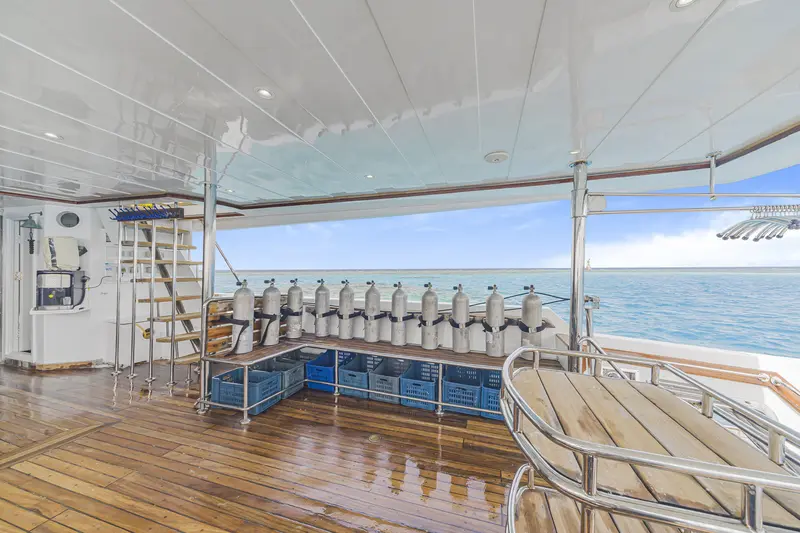 SS Serena Dreams