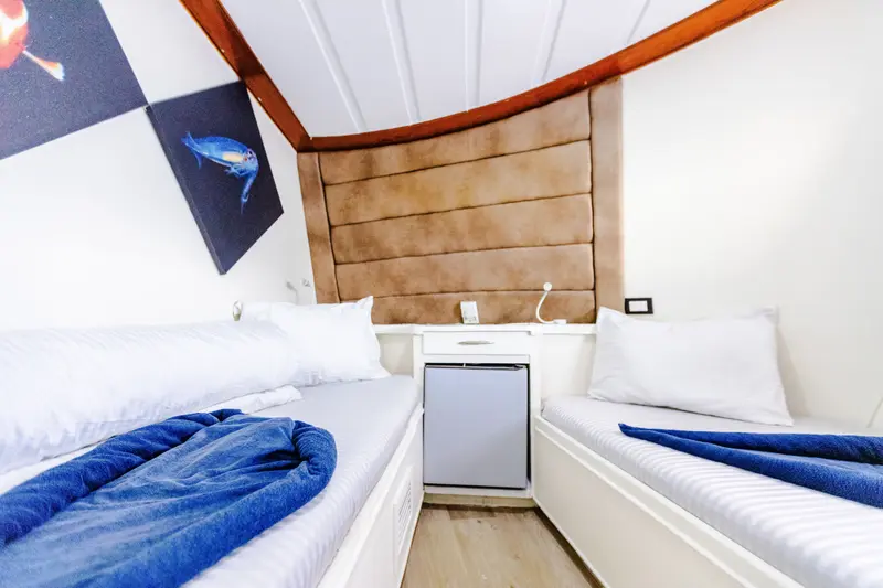 Sun Deck Twin Cabin