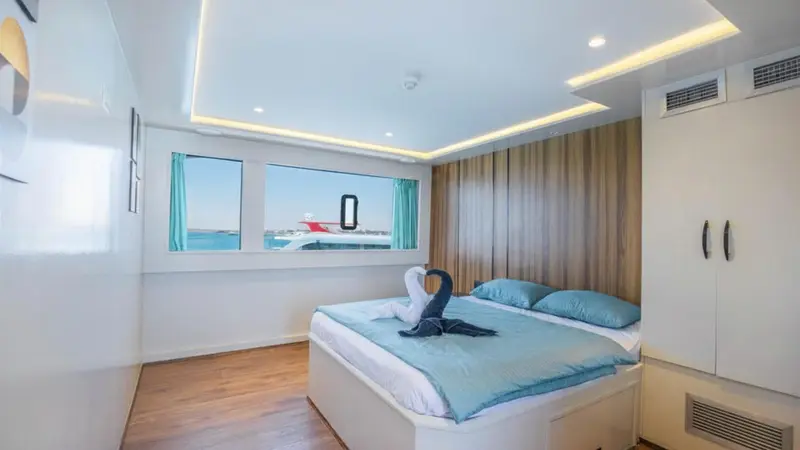 Superior Suite - Bridge Deck