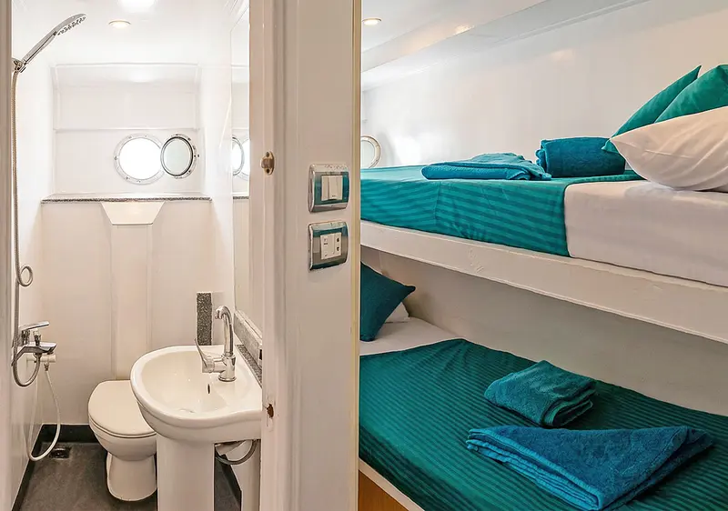 Super Saver Cabin