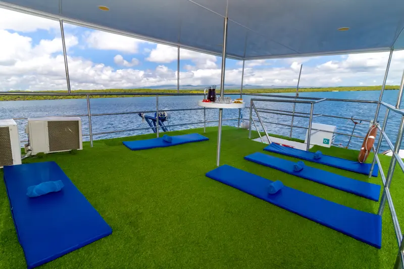 Danubio Azul - Dive