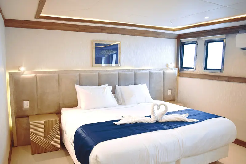 Lower Deck Stateroom