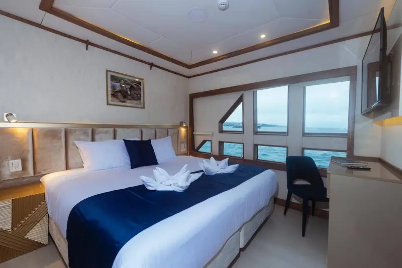 Main Deck Stateroom