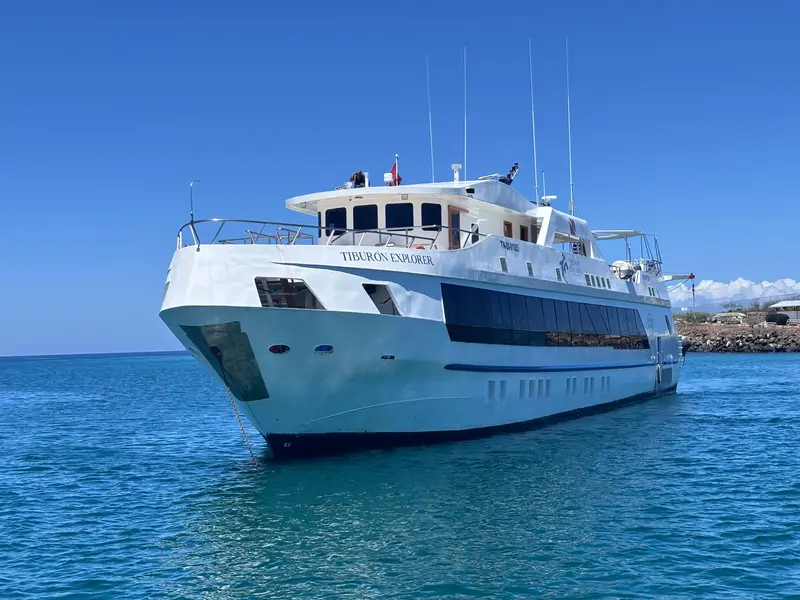 Tiburon Explorer