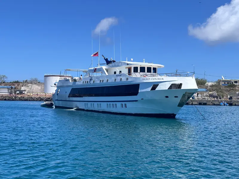 Tiburon Explorer