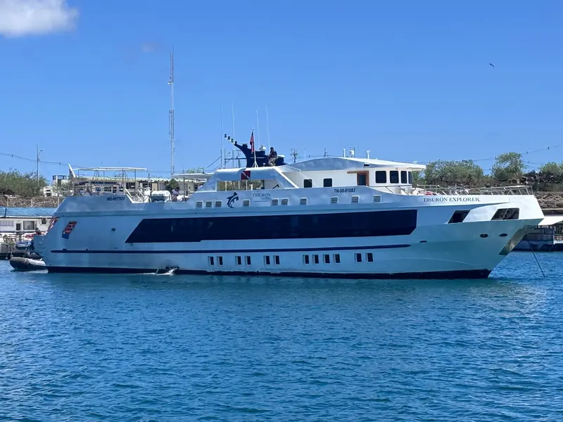 Tiburon Explorer