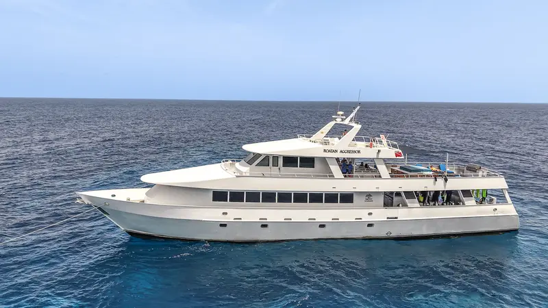 Roatan Aggressor