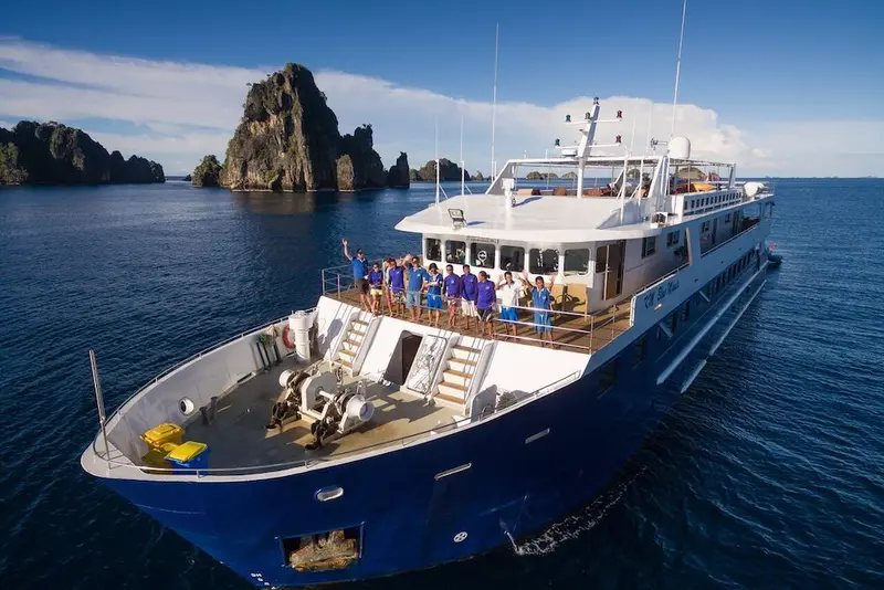 Blue Manta