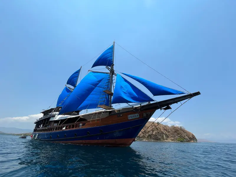 Moana