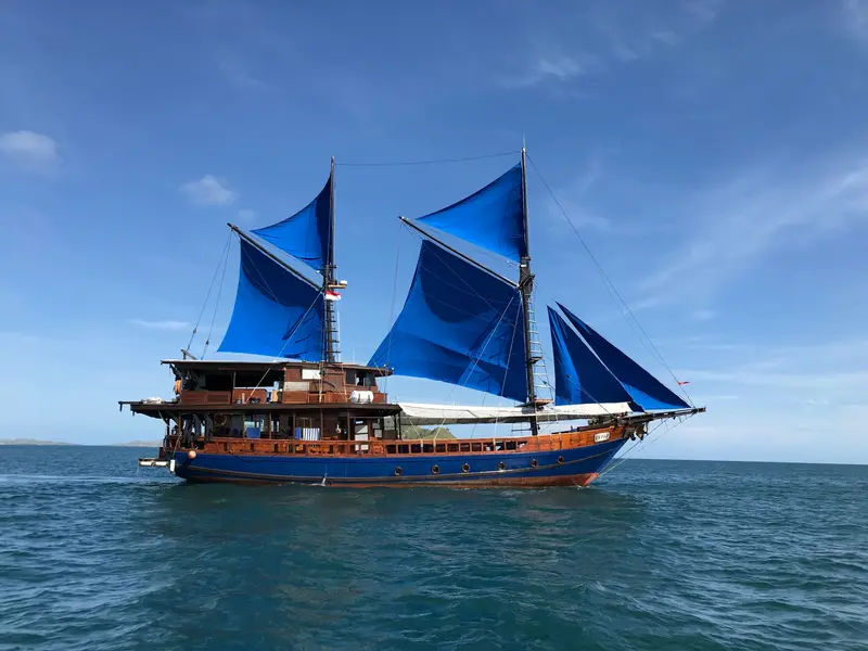 Moana