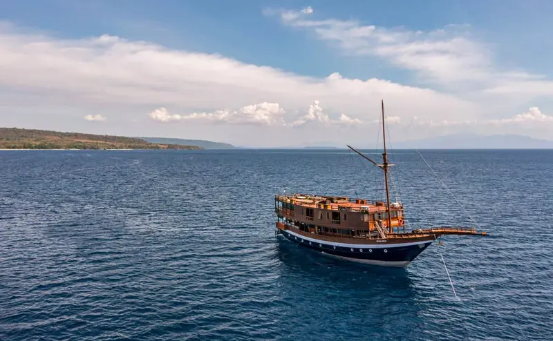 Mola Mola 2