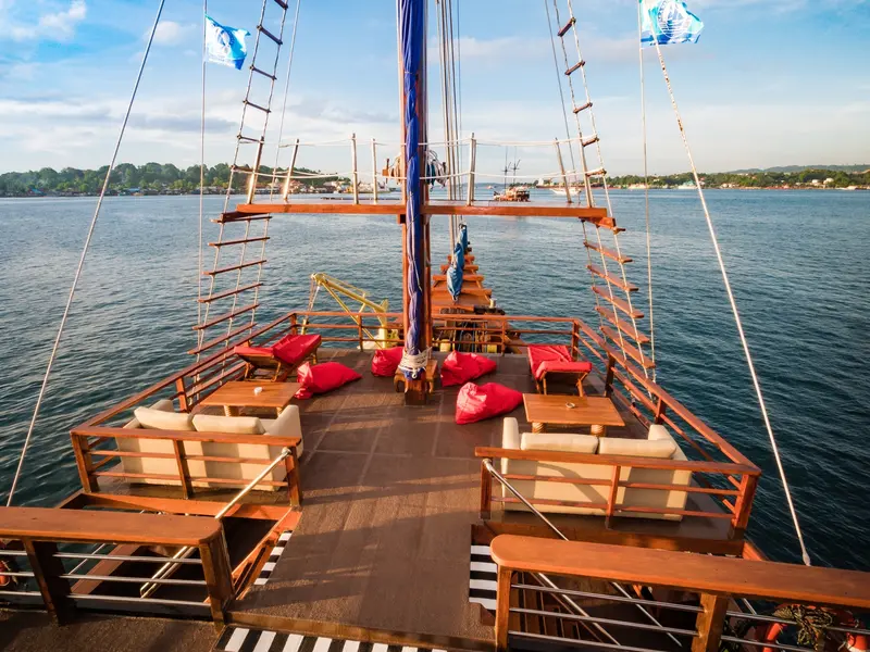 Sea Safari 6
