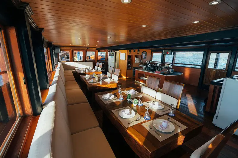 Sea Safari 8