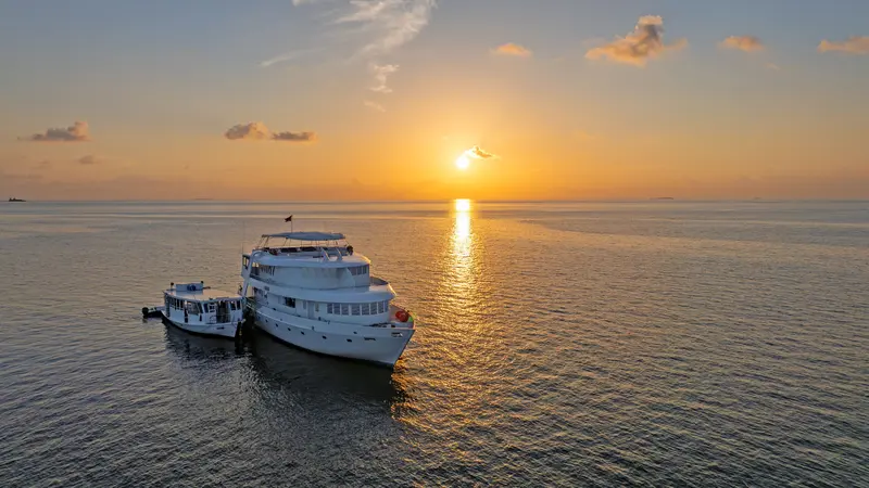 Amba Liveaboard