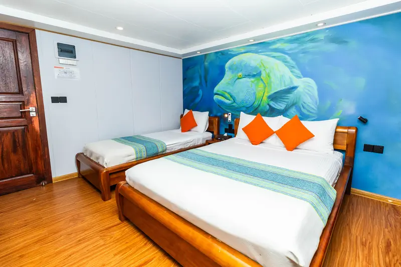 Cabina standard