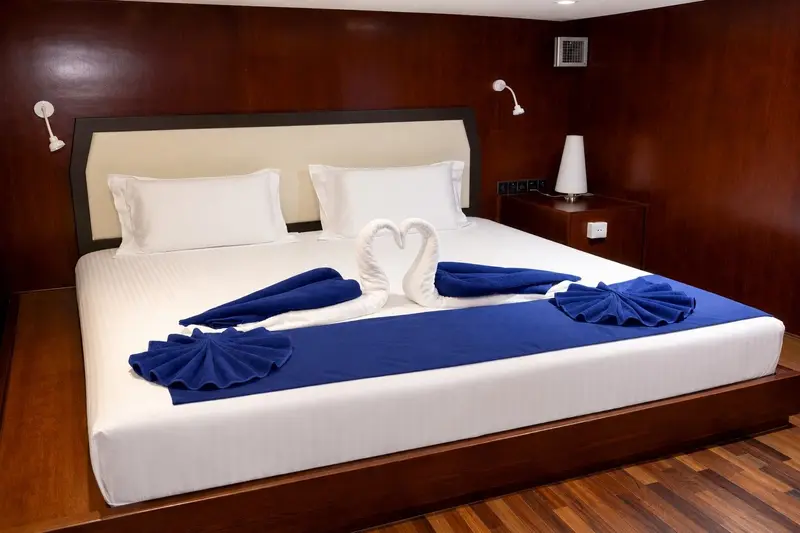 Standard Cabin