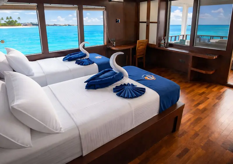 Premium Cabin