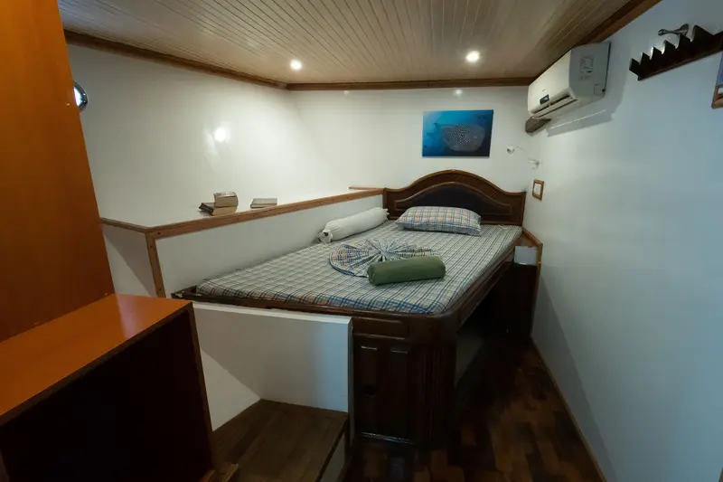Lower Deck Single
