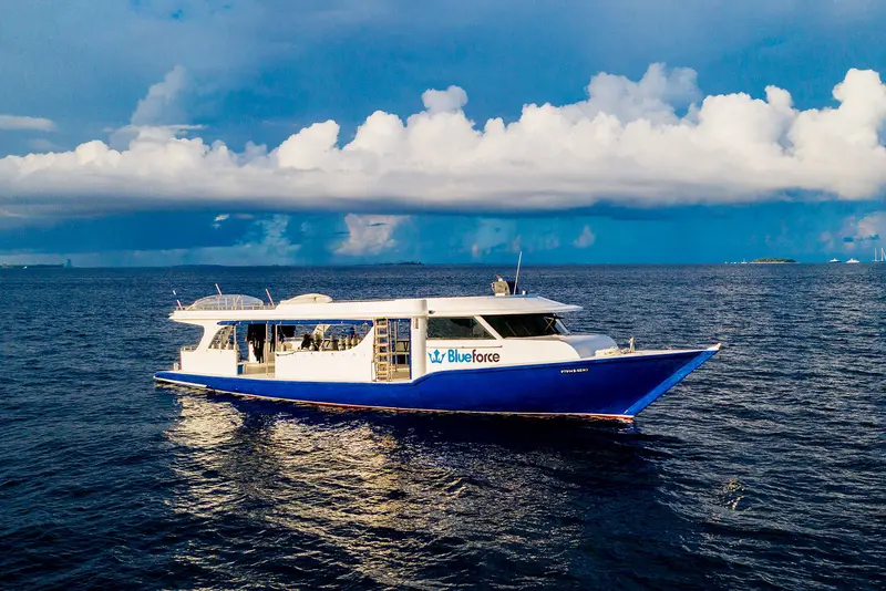 Maldives Blue Force 3