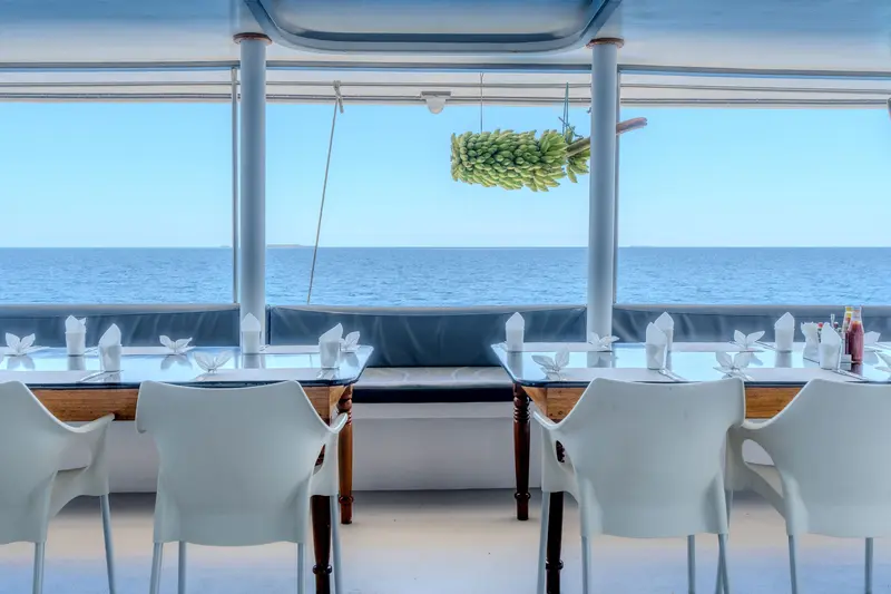 Ocean One
